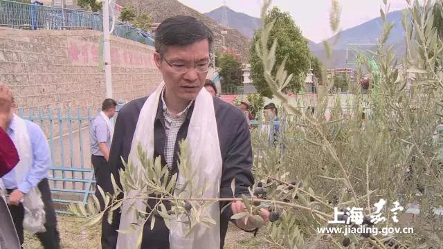 dca79515d2a0462fb8302138d3866314.jpg dca79515d2a0462fb8302138d3866314.jpg